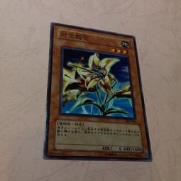 Ee2 Jp021 人氣推薦 23年1月 露天市集