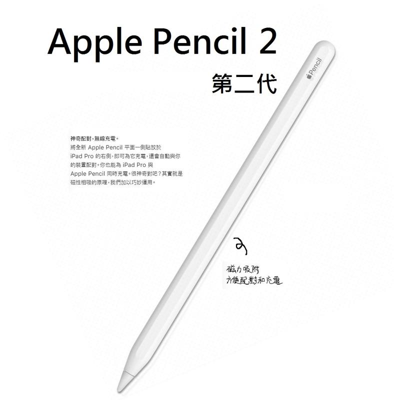 Apple pencil 第2世代 PC周辺機器 PC/タブレット 家電・スマホ・カメラ 人気が高い