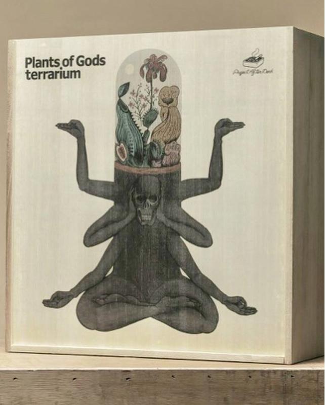 Plants of Gods Terrarium 全球限量| 露天拍賣